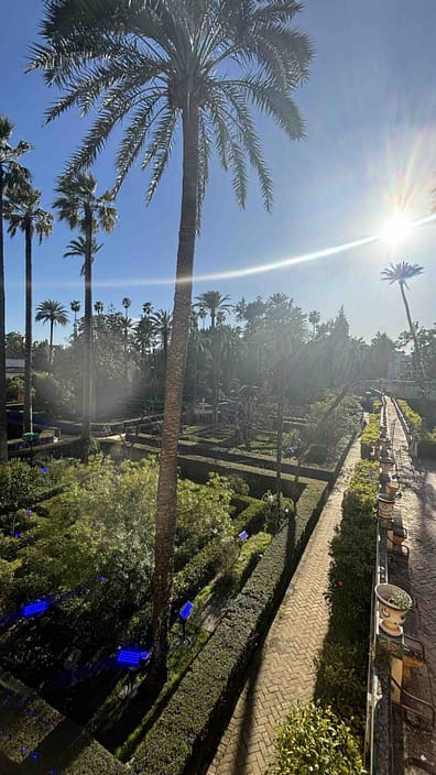 Pour un séjour parfait en plein nature à Seville en Espagne ( blog voyage )