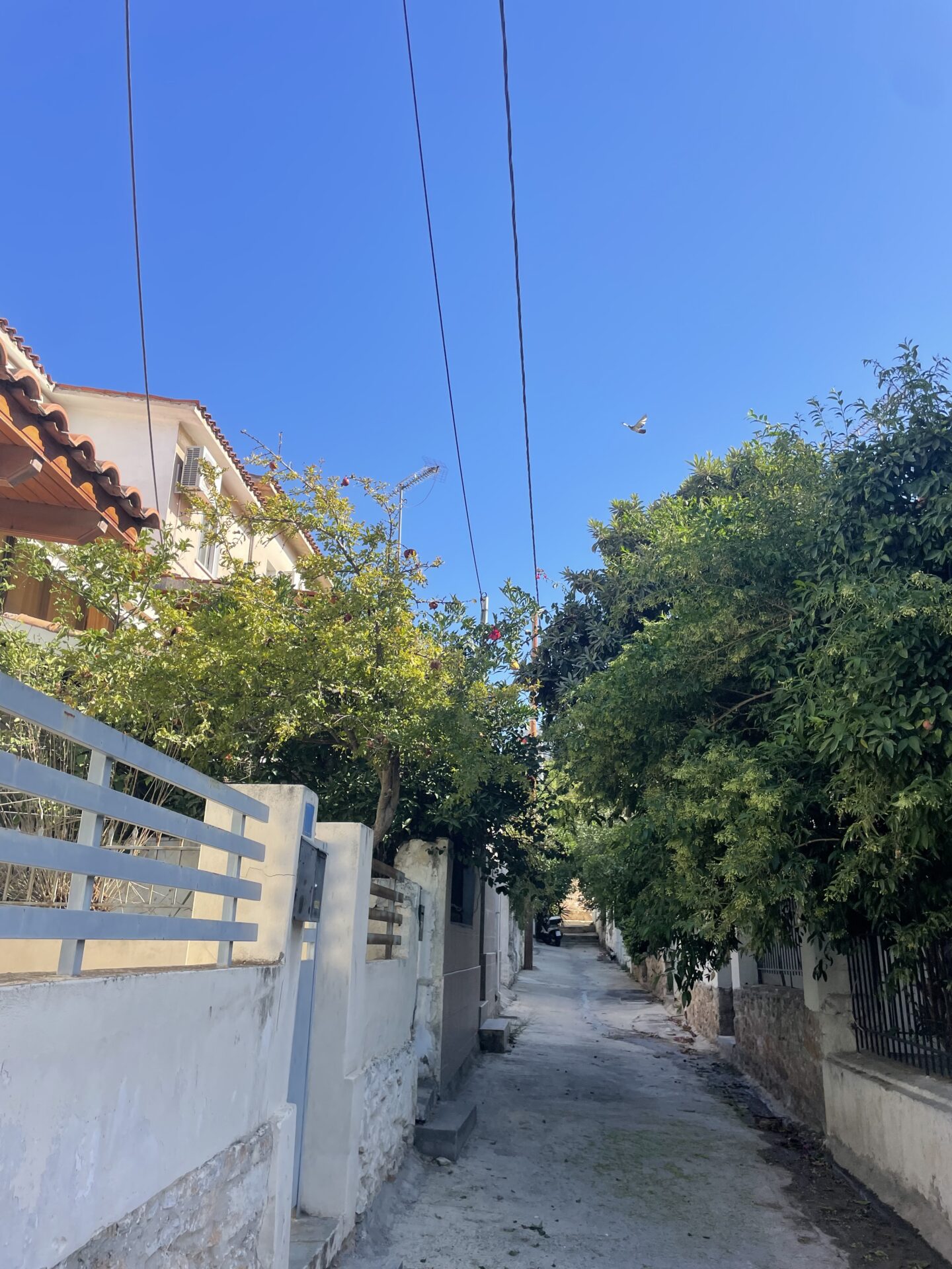 Vue pittoresque du quartier près de la Colline Filopappou à Athènes, avec ses rues étroites et ses maisons traditionnelles, offrant une atmosphère authentique de la ville.
